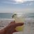 Barbara Quarles Graves's profile image