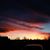 Linda Cavazos's profile image