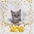 Patricia Collins Frady's profile image