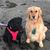Rhonda Mitchell's profile image