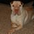Loralee Myer's profile image
