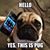 Kathleen Smith's profile image
