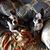 Rose Marie Reinhardt's profile image