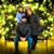 Greg Toft's profile image