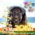 Karen Ashley-Lister's profile image