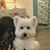 Stephanie Yang's profile image