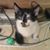 Rhonda Dorn Keeler's profile image