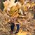 Justyn Funkhouser's profile image