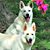 Cathy Walter Wasman's profile image