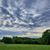 Kimberly M. Schieffer-Maroney's profile image