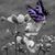 Sandi Robinson's profile image
