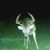 Dan B. Willard's profile image