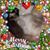 Kathy Korbel's profile image