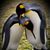 Heather King's profile image