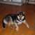 Jill Molnar's profile image
