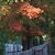 Glenda J Chestnut's profile image