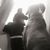 Michelle Halsdorf's profile image