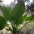Patricia Badeaux's profile image