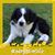 Angie Packer Jacobs's profile image