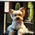 Teena Dunn's profile image
