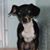 Brenda Beaudoin Adamski's profile image