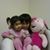 Jacalyn E. Russell's profile image