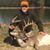 Stoney Logan's profile image