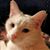 Laura Benton's profile image