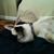 Wendy Smith's profile image