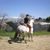 Ramos Heriberto's profile image