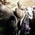 Donna Obermeyer's profile image