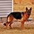 Carrie Simmons's profile image