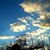 Judi Dougherty's profile image
