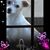 Lisa Fulton's profile image