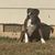 Tracey Spradlin's profile image