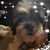 Denise Rabinowitz Myers's profile image