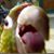 Charlie Shepherd's profile image