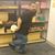 Tomas H Martinez's profile image