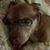 Beverly Parrish's profile image