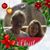 Barbara Gillon's profile image
