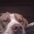 Kurt Russell's profile image