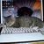 Timothy Green's profile image