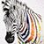 Vicki Pilar Heisser's profile image