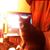 Norma Higgins's profile image