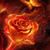 Anne Mostella's profile image