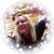 Jessie Gunderson's profile image