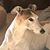 Debra Huch's profile image