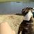 Kaitlyn Schill's profile image
