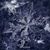 Stephanie Howe Serene's profile image