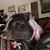 Andrea Nomura Marjala's profile image